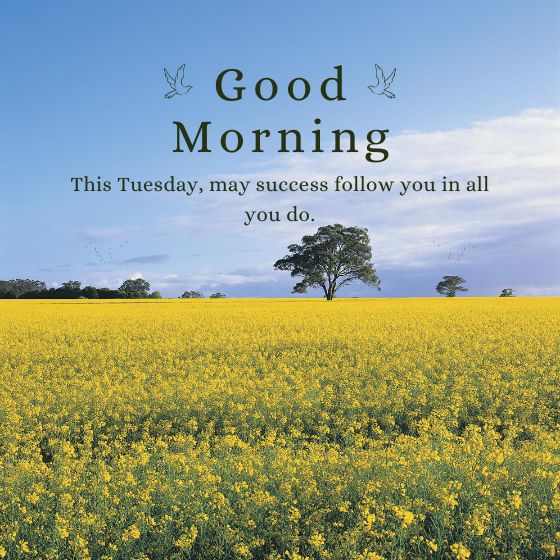 encouragement african american inspiration tuesday blessings