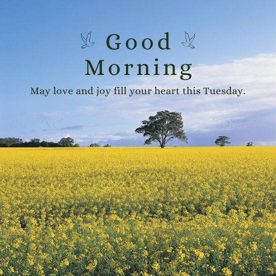 encouragement african american inspiration tuesday blessings