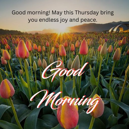 thursday blessings