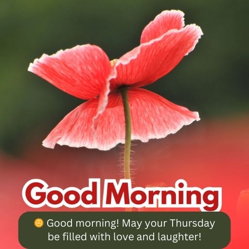 thursday morning blessings